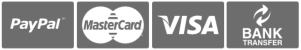 webseitenkicheck payment banner